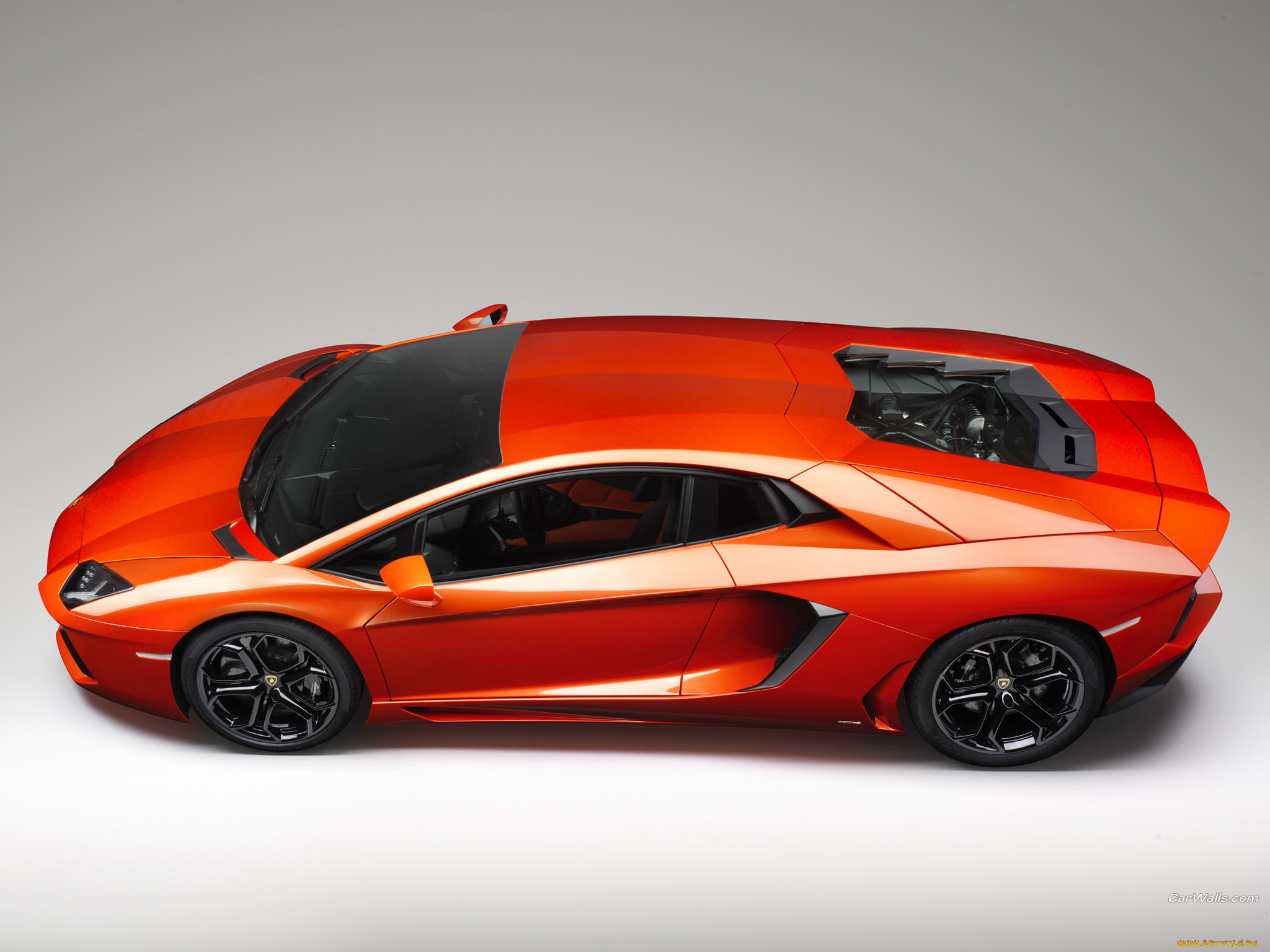 aventador, , lamborghini